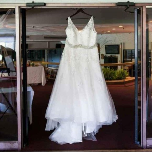 Plus Size Wedding Dress & Veil - Picture 1 of 5